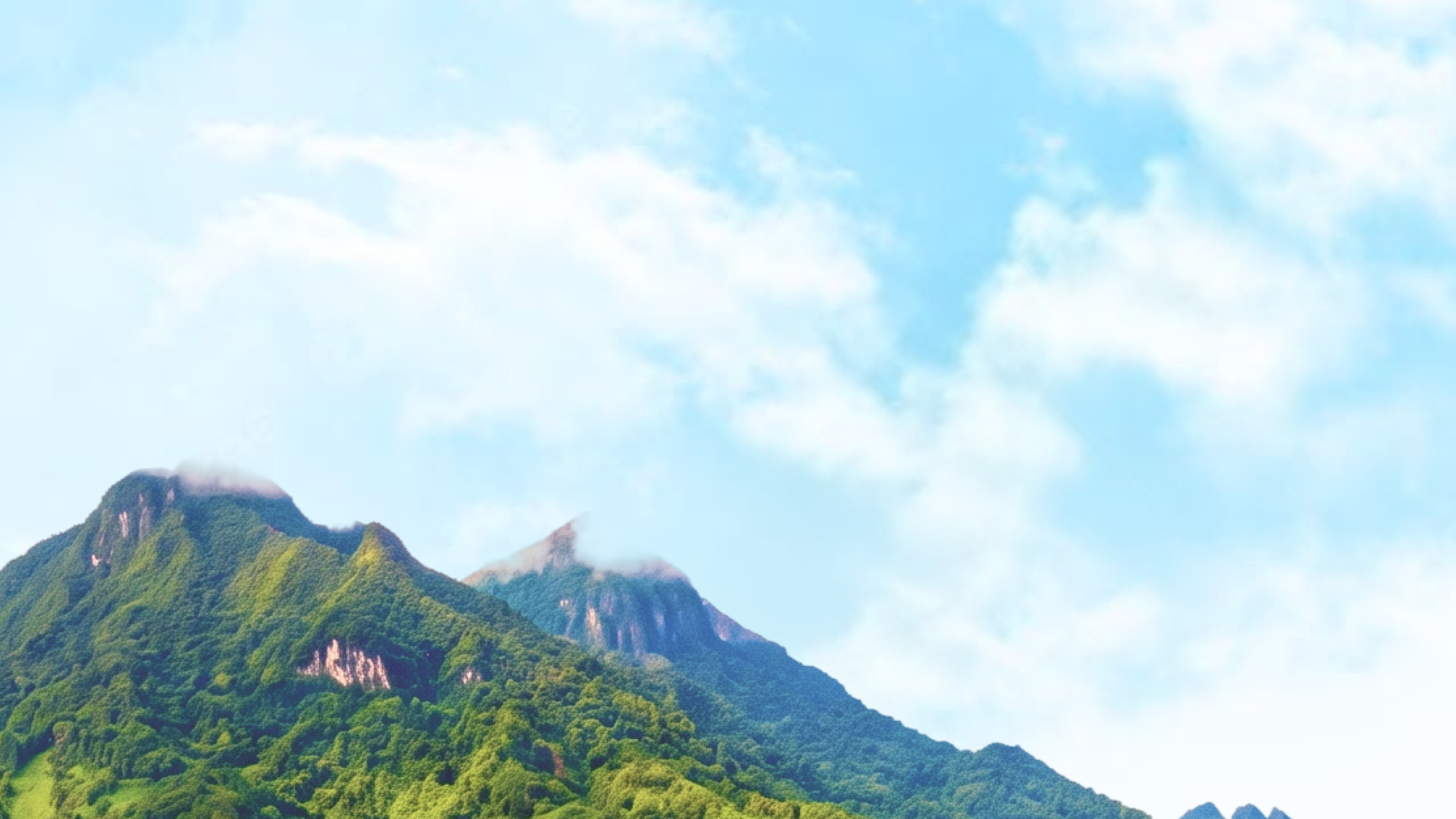Tinh túy từ Núi Tản, Sông Đà